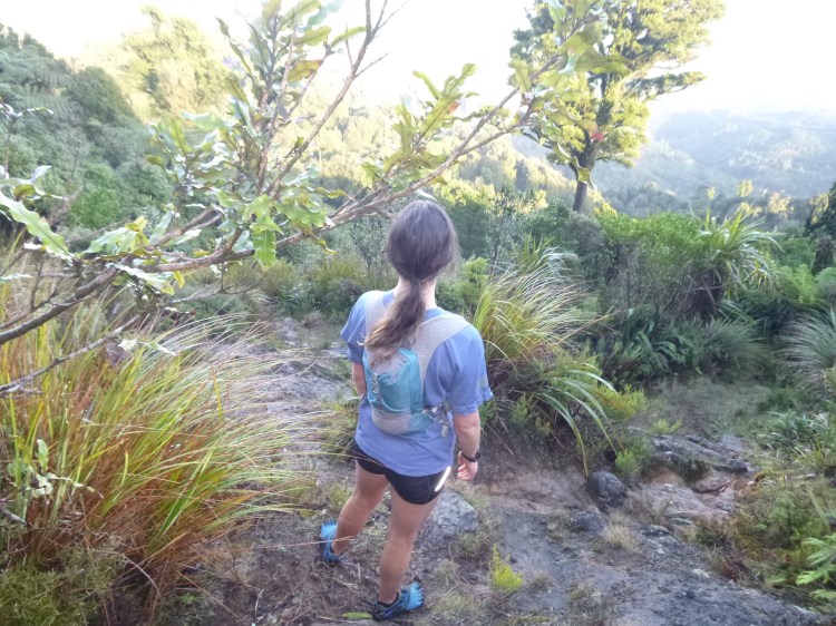 Checking out the view - one of the benefits of running along a ridge.